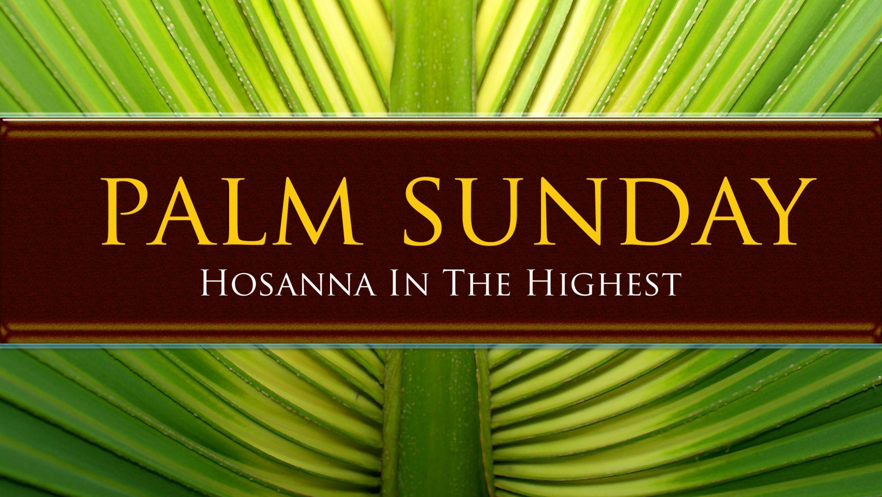 Palm Sunday 2021 Devotional