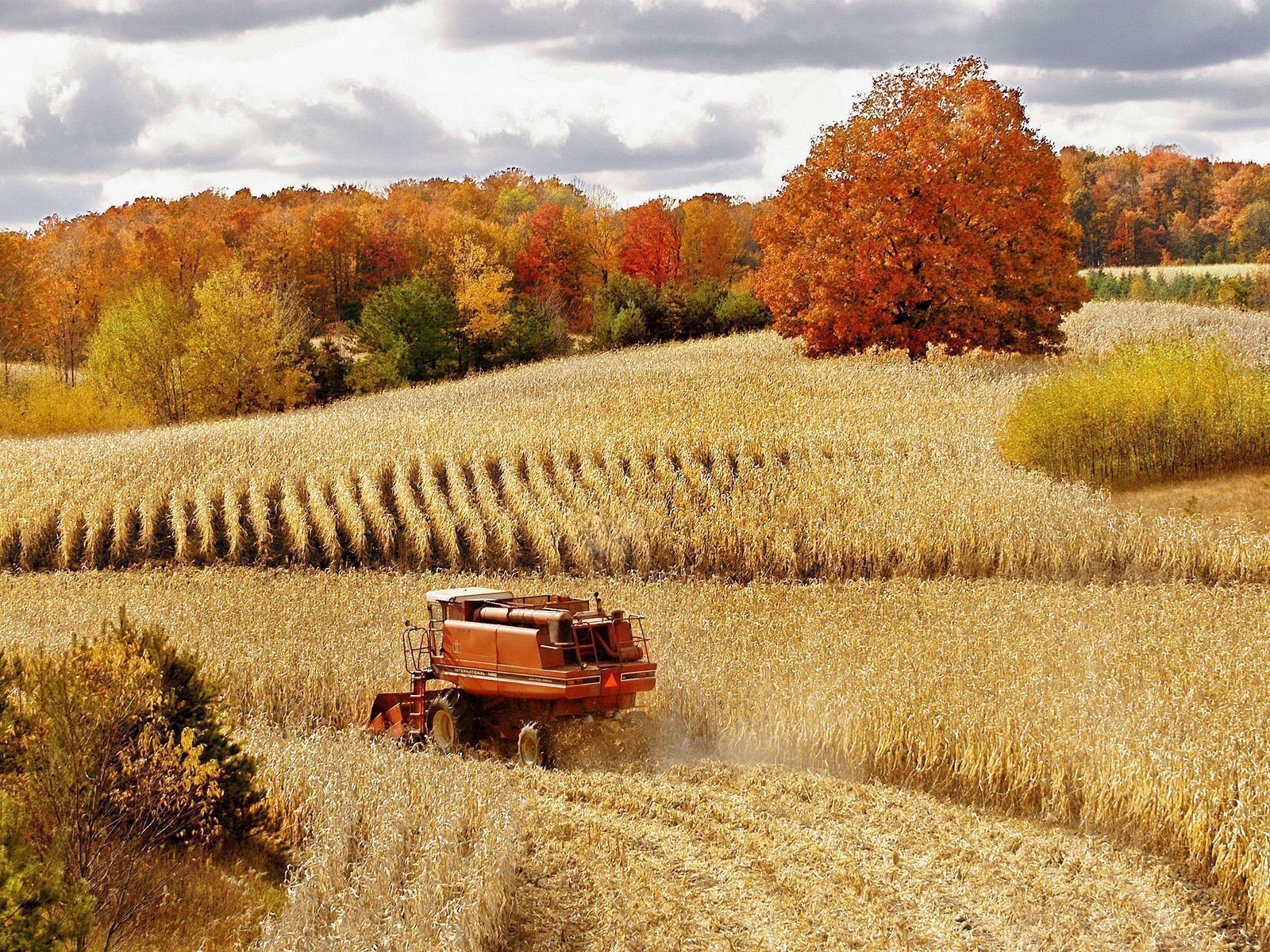 Fall Harvest Devotional